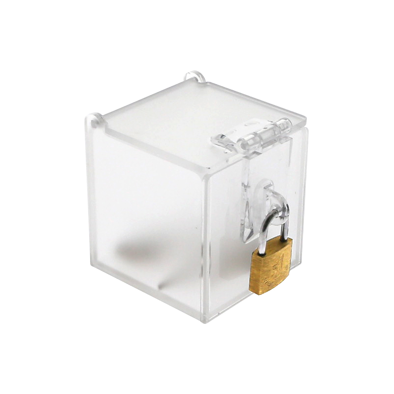 Chastity Cage Key Storage Box  - Game Storage Box 评论和价格