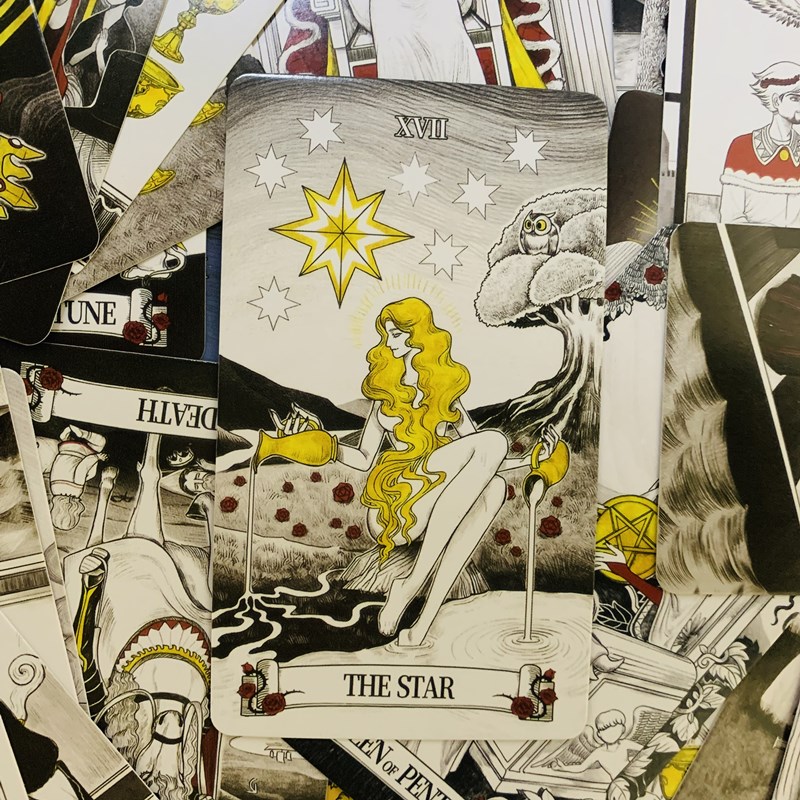 Secret Mirror Tarot cards 80 d - Board Game Of Life 评论和价格